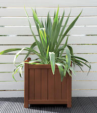 Deep Russet Planter Pot Colour Deep Russet