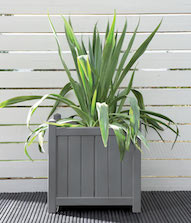 Silver Birch Planter Pot Colour Silver Birch Planter Pot Colour